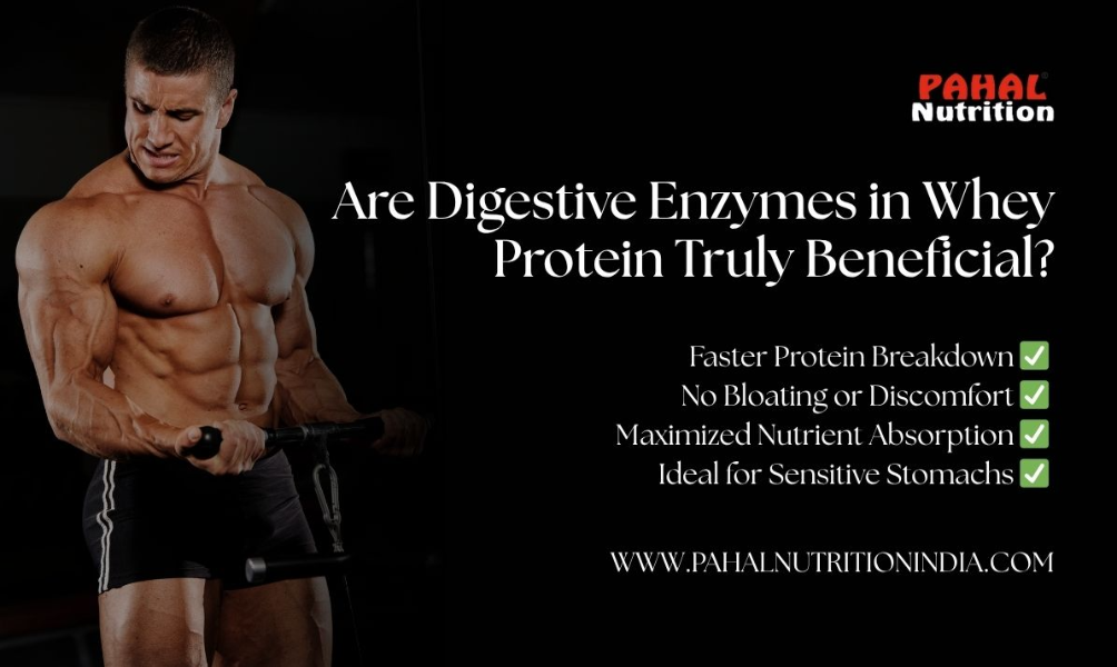 Digestive Enzymes in Whey Protein—Are They Really Worth It?