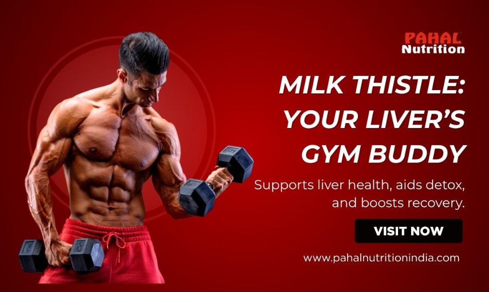 Milk Thistle & Liver Health: What Every Fitness Enthusiast Should Know