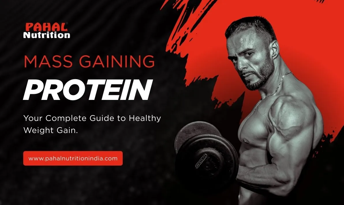 Mass Gaining Protein vs Regular Protein: Key Differences