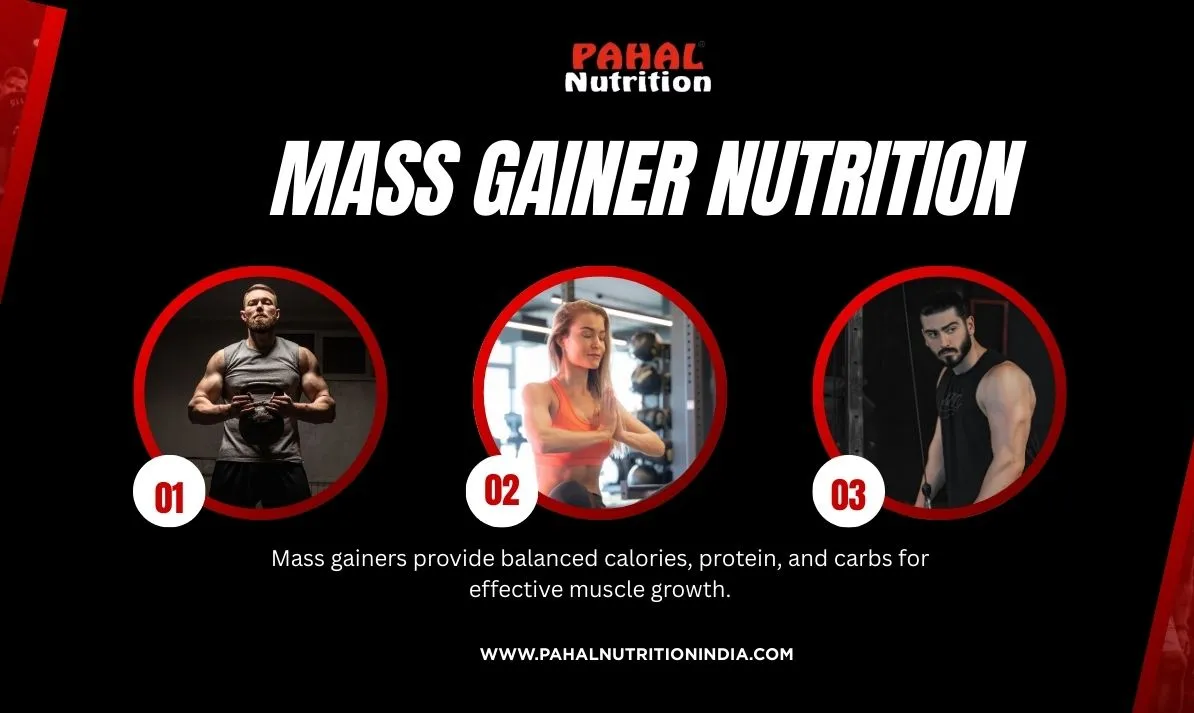 Mass Gainer Nutrition: Calories, Protein & Carbs Explained