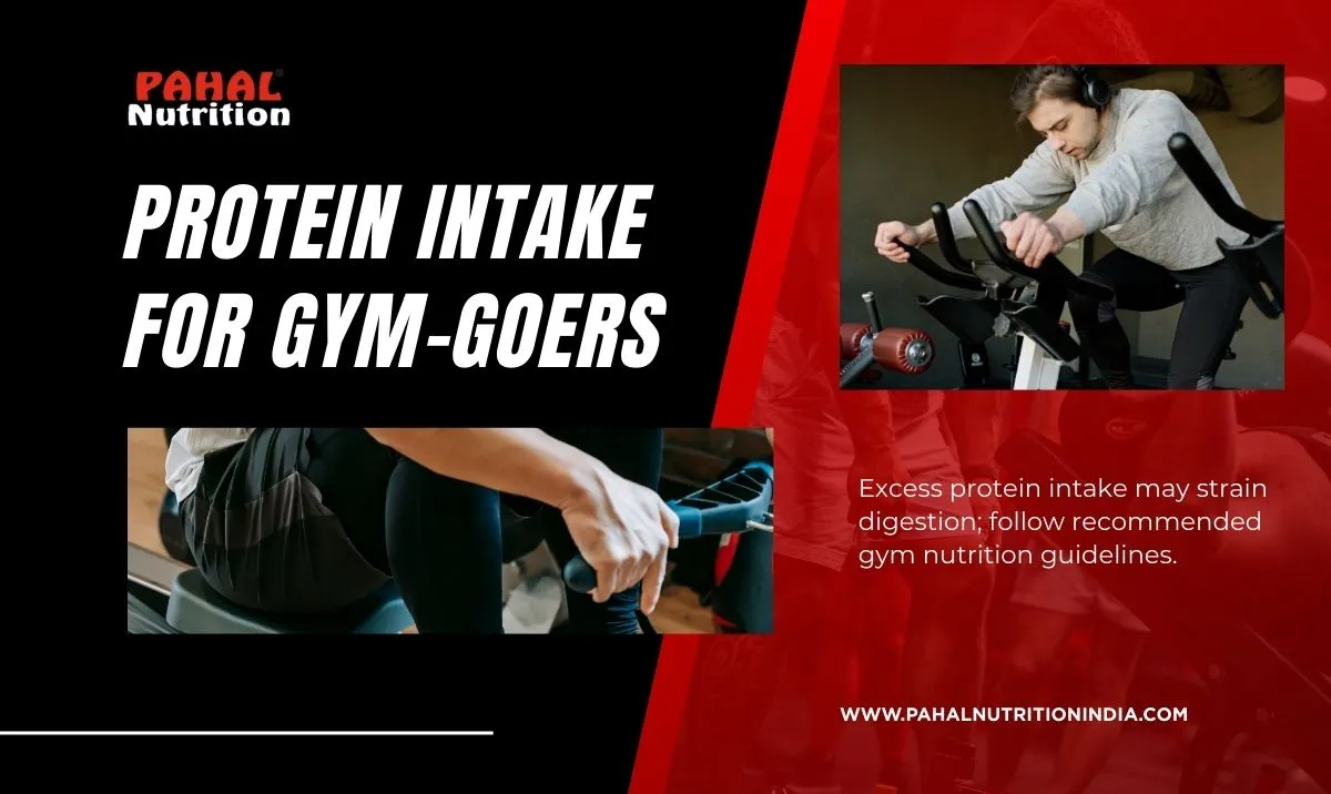 Protein Intake for Gym-Goers: How Much Is Too Much?