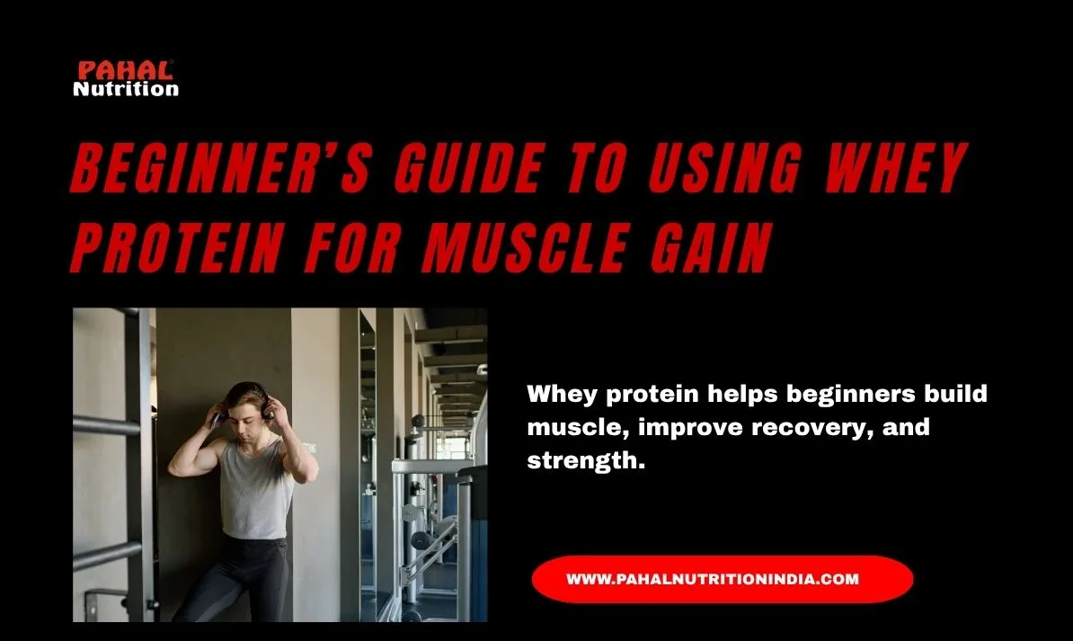 Beginner’s Guide to Using Whey Protein for Muscle Gain
